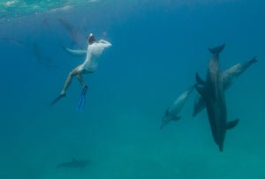 Bimini Dolphins @wildquest @atmoji